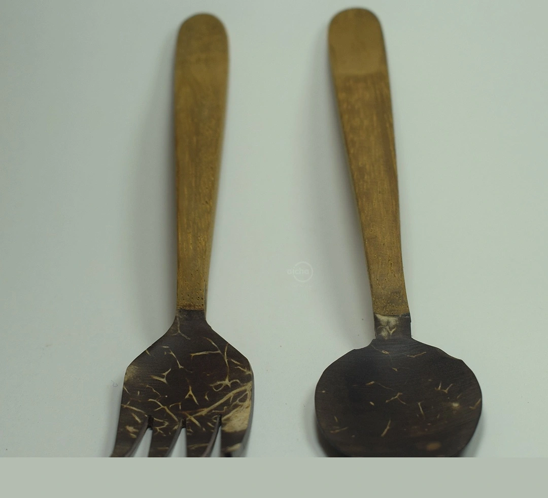 Coconut Spoon
